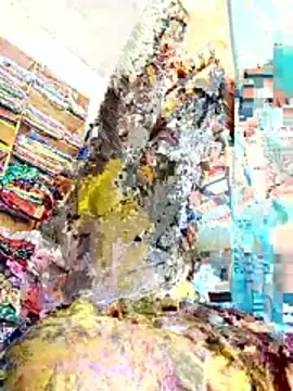 Bhavna hot online show from November 28, 2025, 8:03 am