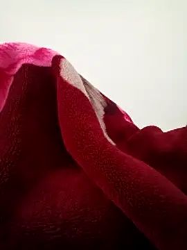 Buny vera online show from December 20, 2025, 2:14 am