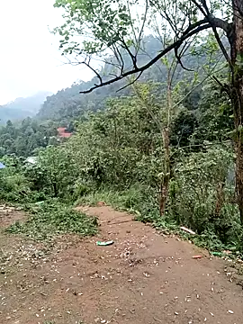 Snapshot of linda_bae00 chatting on March 6, 2026, 9:04 am linda bae00 online show from March 6, 2026, 9:04 am