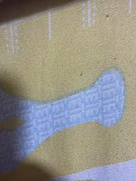 Snapshot of HaltBrand chatting on November 17, 2025, 12:36 am HaltBrand online show from November 17, 2025, 12:36 am