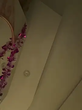 HaltBrand online show from March 1, 2026, 9:09 am