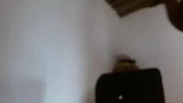 Snapshot of DaiishaWolf chatting on May 28, 2026, 7:42 pm DaiishaWolf online show from May 28, 2026, 7:42 pm