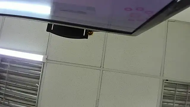 Aisha hotts777 online show from April 10, 2026, 3:46 am