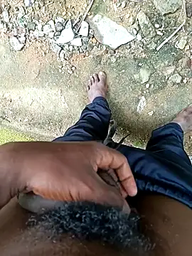 dolphiinn online show from December 18, 2025, 4:17 am