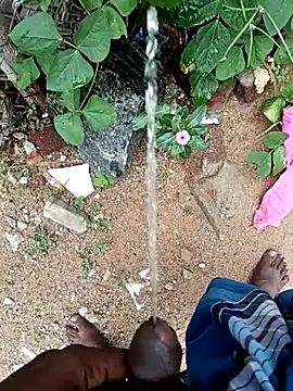 dolphiinn online show from November 10, 2025, 6:51 am