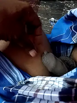 dolphiinn online show from November 25, 2025, 1:28 am