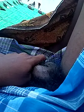 dolphiinn online show from October 13, 2025, 12:34 am