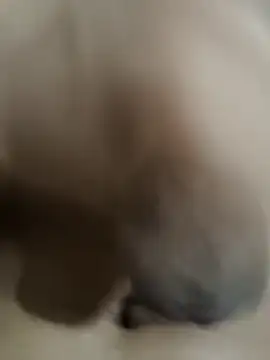 Snapshot of official_plsr5 chatting on October 4, 2025, 12:39 pm official plsr5 online show from October 4, 2025, 12:39 pm