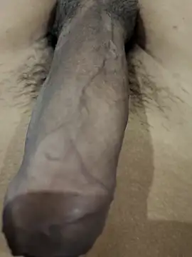 Snapshot of official_plsr5 chatting on September 15, 2025, 6:58 am official plsr5 online show from September 15, 2025, 6:58 am