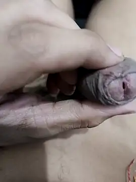 Snapshot of official_plsr5 chatting on November 4, 2025, 11:03 am official plsr5 online show from November 4, 2025, 11:03 am