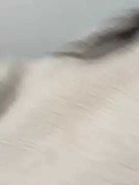 Victoria alson online show from February 19, 2026, 1:30 pm