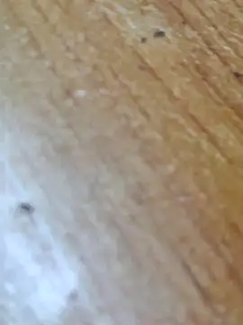 Markroco696 online show from October 14, 2025, 3:18 am