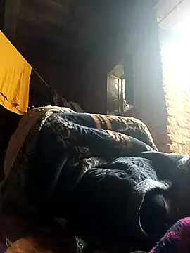 cute diya 12 online show from February 19, 2026, 3:25 am