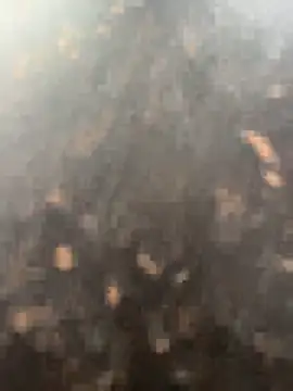 Snapshot of anjalibb chatting on October 27, 2025, 7:20 am anjalibb online show from October 27, 2025, 7:20 am