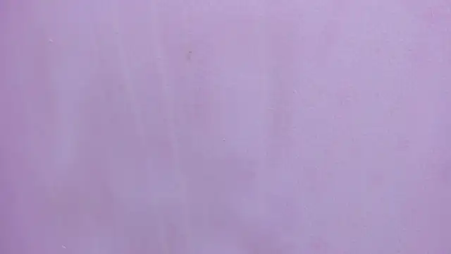 Snapshot of scarlett646 chatting on February 28, 2026, 3:17 am scarlett646 online show from February 28, 2026, 3:17 am