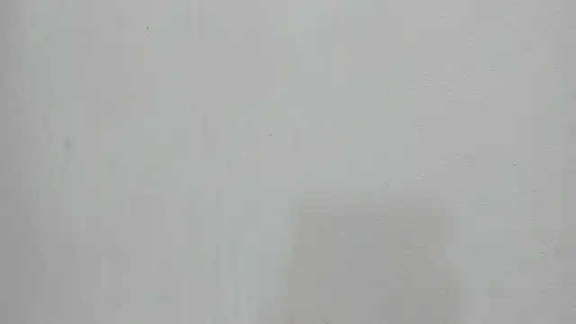 scarlett646 online show from November 19, 2025, 3:06 am