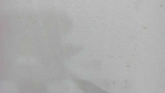 scarlett646 online show from December 4, 2025, 3:05 am