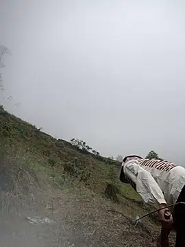 Snapshot of Ngoc-bbi chatting on April 1, 2026, 1:41 am Ngoc-bbi online show from April 1, 2026, 1:41 am