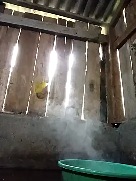 Ngocmi909 online show from November 16, 2025, 12:15 am