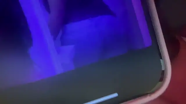 bunnytentacion online show from November 19, 2025, 5:07 am