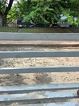 Senurak99 online show from November 11, 2025, 8:20 am