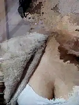 Binjt online show from November 19, 2025, 12:38 pm