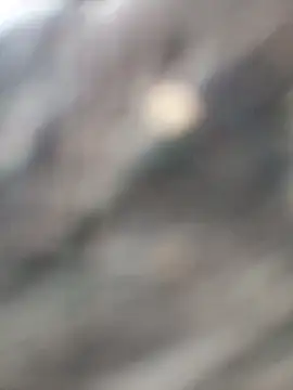 Arya85 online show from November 13, 2025, 3:43 am