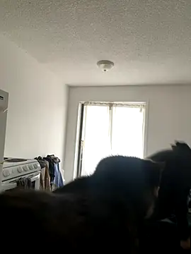 inked nekoo online show from December 3, 2025, 3:33 pm