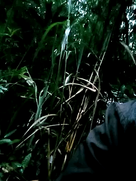 Lisa pusy online show from January 6, 2026, 12:03 am