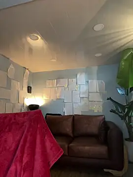 Canneela online show from February 23, 2026, 9:04 pm