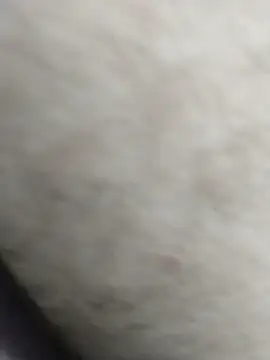 Yhnist34 online show from September 18, 2025, 1:08 am