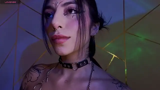 Snapshot of Hollyxx_ chatting on February 3, 2026, 5:29 pm Hollyxx online show from February 3, 2026, 5:29 pm