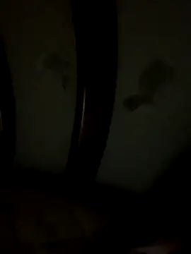 Bruno18cmmmmkk online show from December 19, 2025, 3:54 am