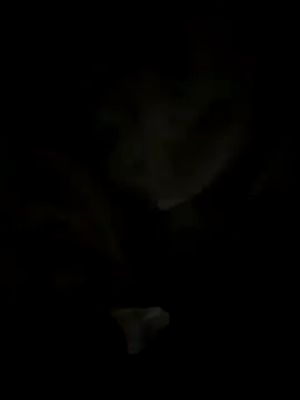 Snapshot of tran_my chatting on October 29, 2025, 5:06 am tran my online show from October 29, 2025, 5:06 am