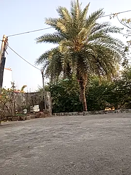 Snapshot of monu_bhabi chatting on February 10, 2026, 2:54 am monu bhabi online show from February 10, 2026, 2:54 am