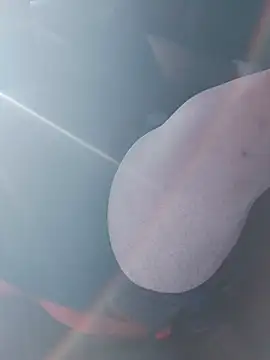 big teddy98 online show from January 7, 2026, 2:55 pm