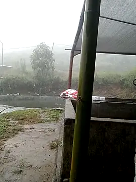 Snapshot of ngan-cute chatting on November 2, 2025, 4:17 am ngan-cute online show from November 2, 2025, 4:17 am