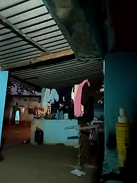 Hot-honi online show from November 12, 2025, 5:33 am