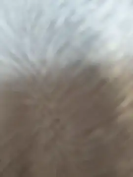 Snapshot of VendiMur chatting on March 27, 2026, 1:03 am VendiMur online show from March 27, 2026, 1:03 am