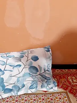 Snapshot of siya_rani67 chatting on April 2, 2026, 1:57 am siya rani67 online show from April 2, 2026, 1:57 am