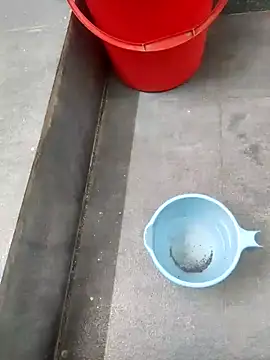 Yourminal online show from October 23, 2025, 7:56 pm