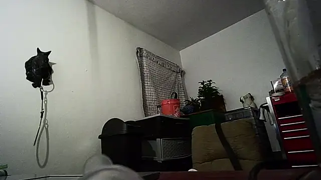 hungspundick1 online show from January 10, 2026, 1:12 am