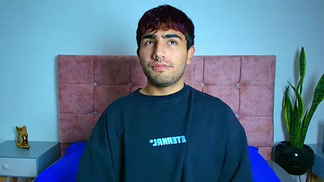 Ares Alpha online show from November 24, 2025, 7:25 pm