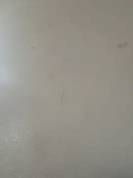 diamondunleashes online show from April 20, 2026, 8:43 pm