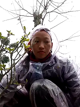 Snapshot of tcm-cute chatting on November 3, 2025, 8:07 am tcm-cute online show from November 3, 2025, 8:07 am