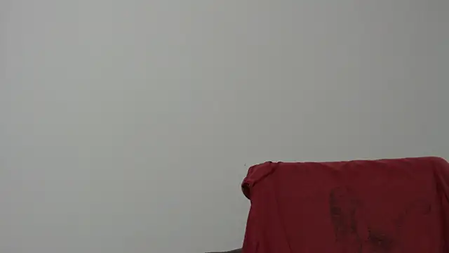 Snapshot of Rocky_Muscle chatting on February 5, 2026, 4:52 am Rocky Muscle online show from February 5, 2026, 4:52 am