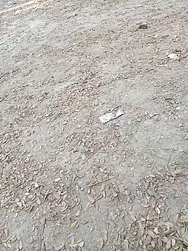 Dasdhon online show from November 18, 2025, 10:18 am