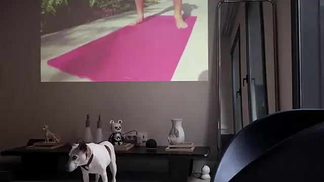 Sir box online show from September 16, 2025, 6:09 pm