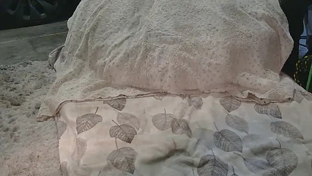 Gmajor online show from March 15, 2026, 12:39 am