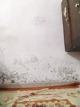 Snapshot of DivyaBhabhi69@xh chatting on October 19, 2025, 3:59 pm DivyaBhabhi69xh online show from October 19, 2025, 3:59 pm